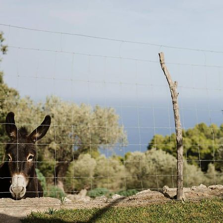 فيلا Casa Tramuntana فايديموسا الغرفة الصورة