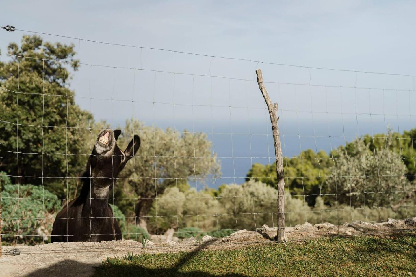 فيلا Casa Tramuntana فايديموسا الغرفة الصورة
